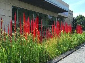 'Red Reeds' by Dale Chihuly is in the permanent collection. In the winter, when it has snowed, just amazing....